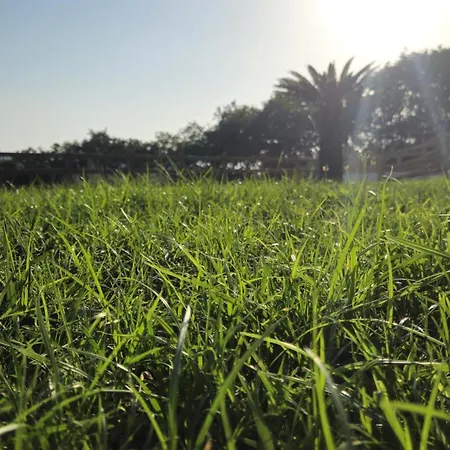 Frascinelle 2 Agropoli